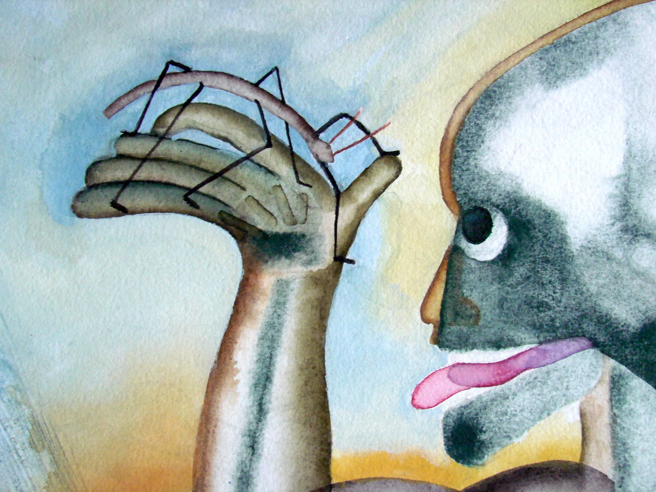 Homepage image DSC01080 WEB.jpg