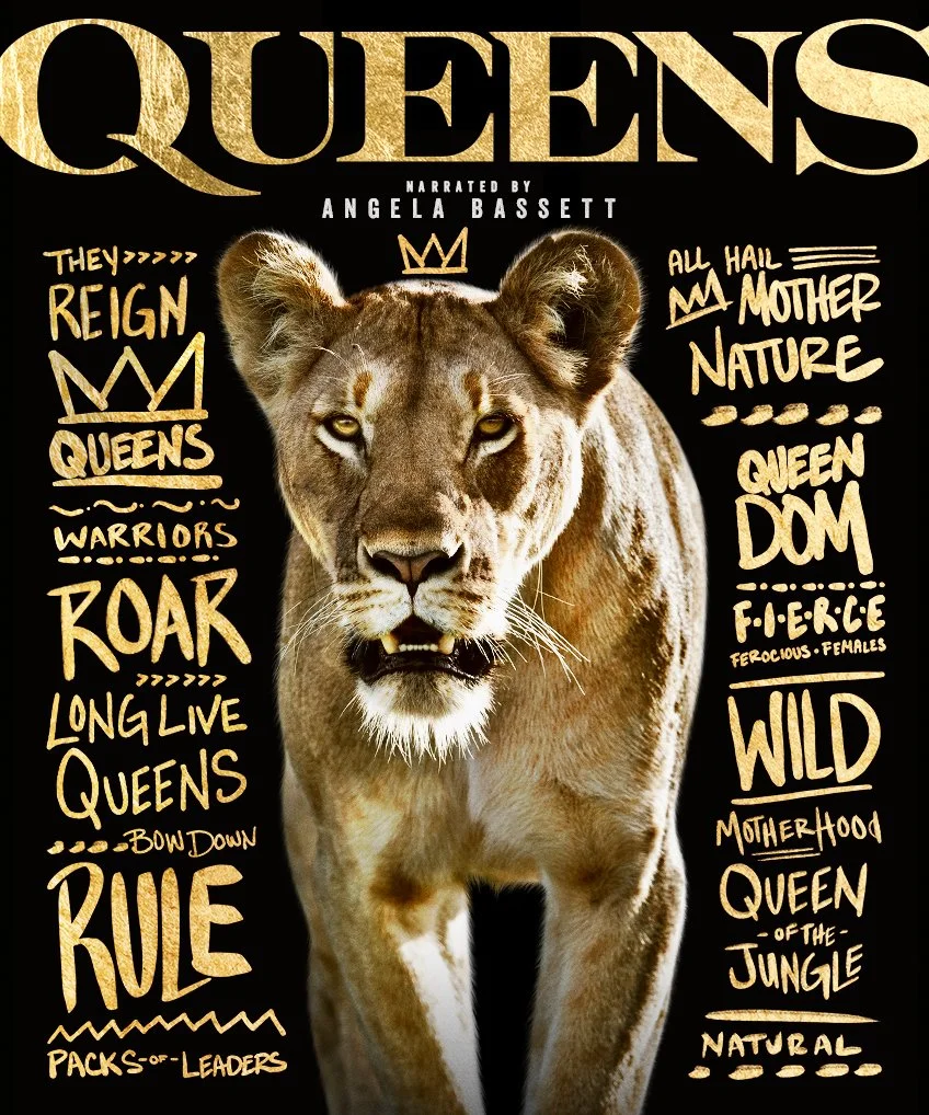 5751_Queens_Alt_848x1018_Thumb.jpg