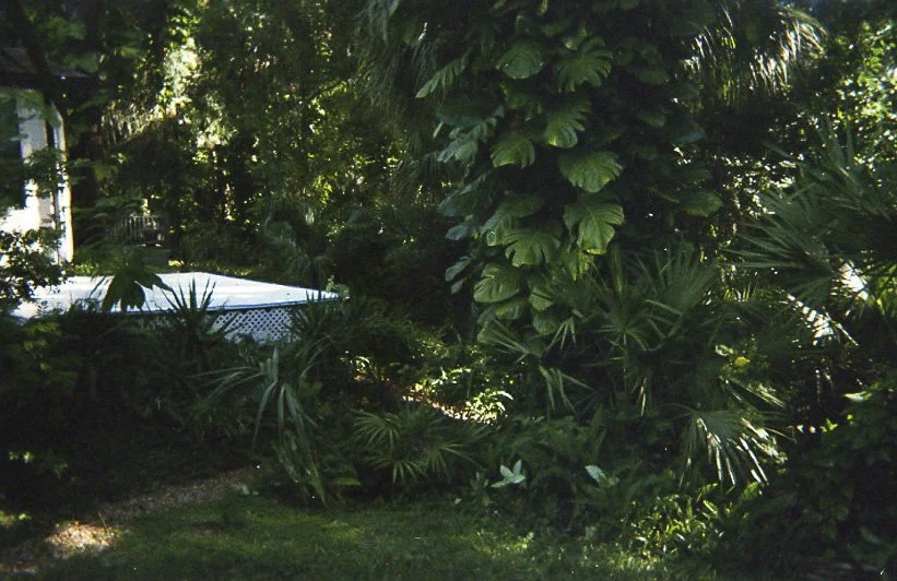 FLORIDA_35mm__3.JPG