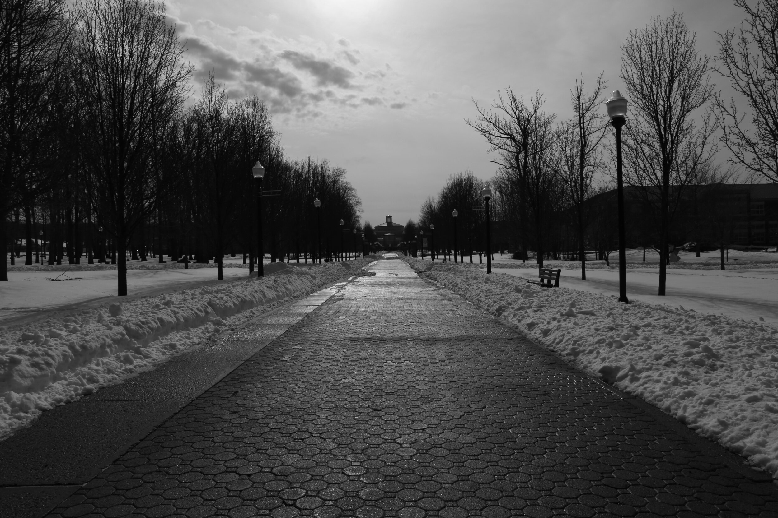 49481F0A-4AE8-4E08-9246-2CCE05D49A26