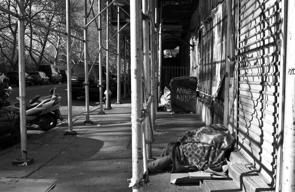 Tabitha-Turchio-Harsh Reality.JPG