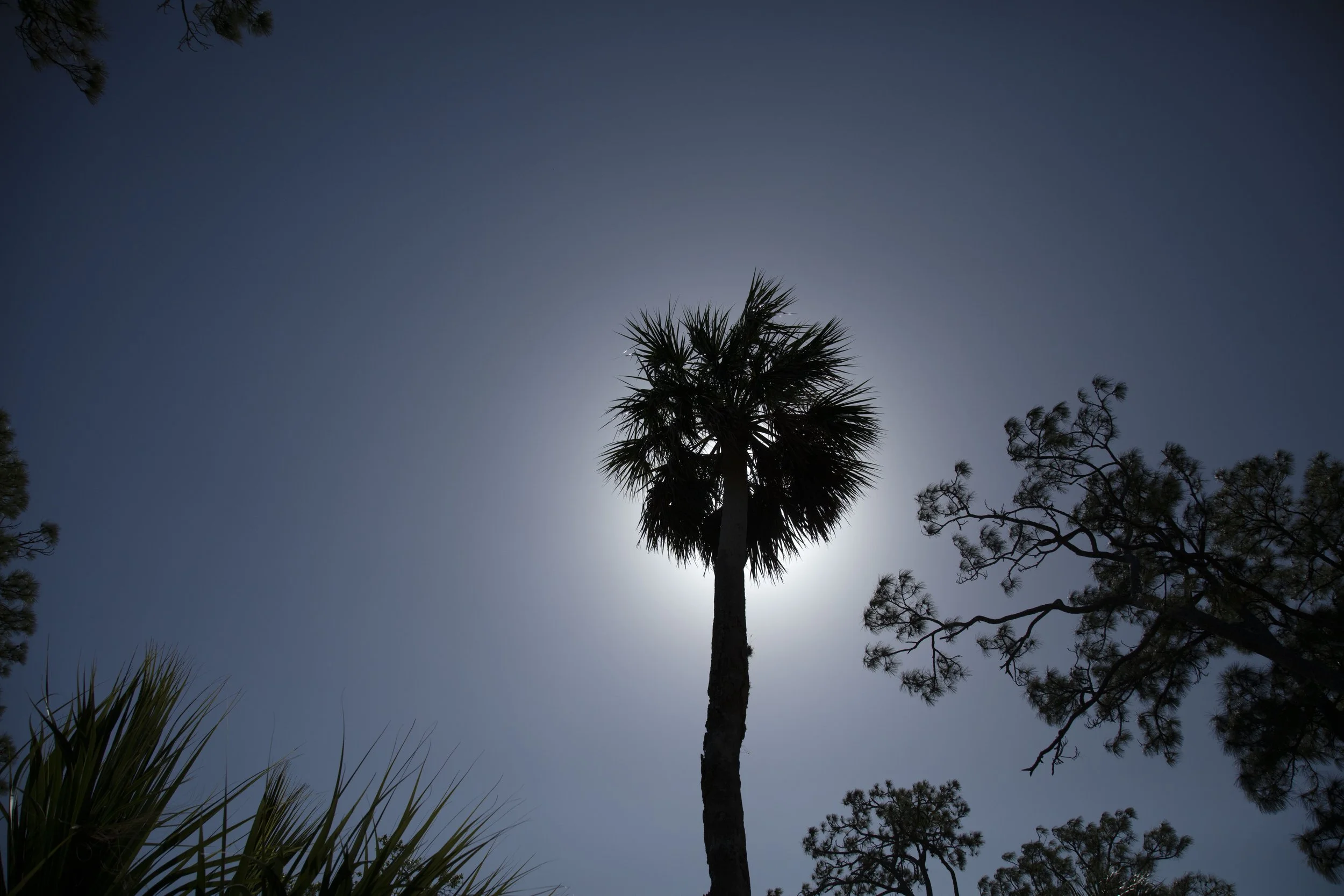 April2025_Florida_6.JPG