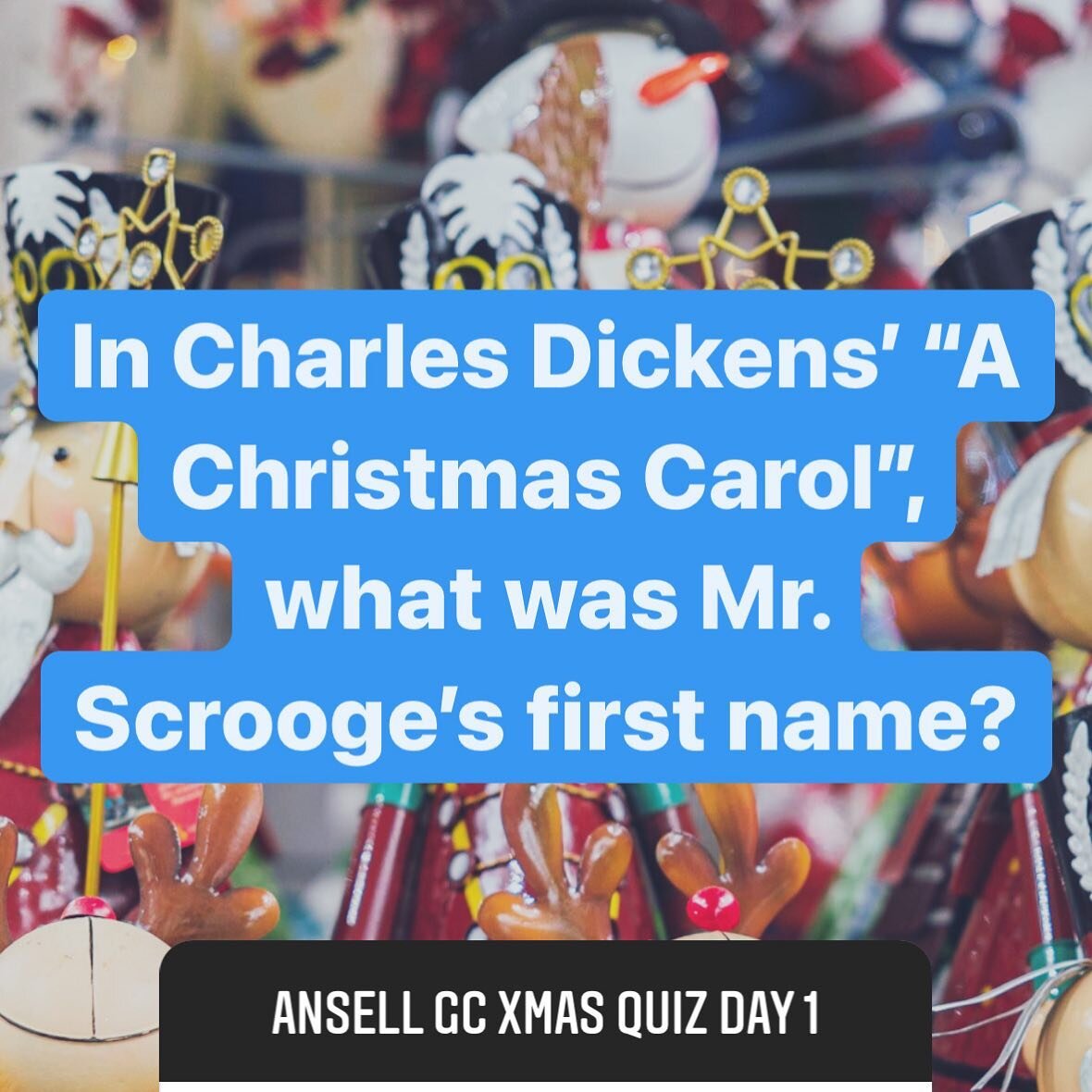 The Ansell Garden Centre Christmas Quiz has begun! Head over to our Instagram stories to test your Christmas knowledge! You snow the drill... (see what we did there?! Tag your friends and family too! I'm pine-ing for you..! 🤦🏽&zwj;♂️