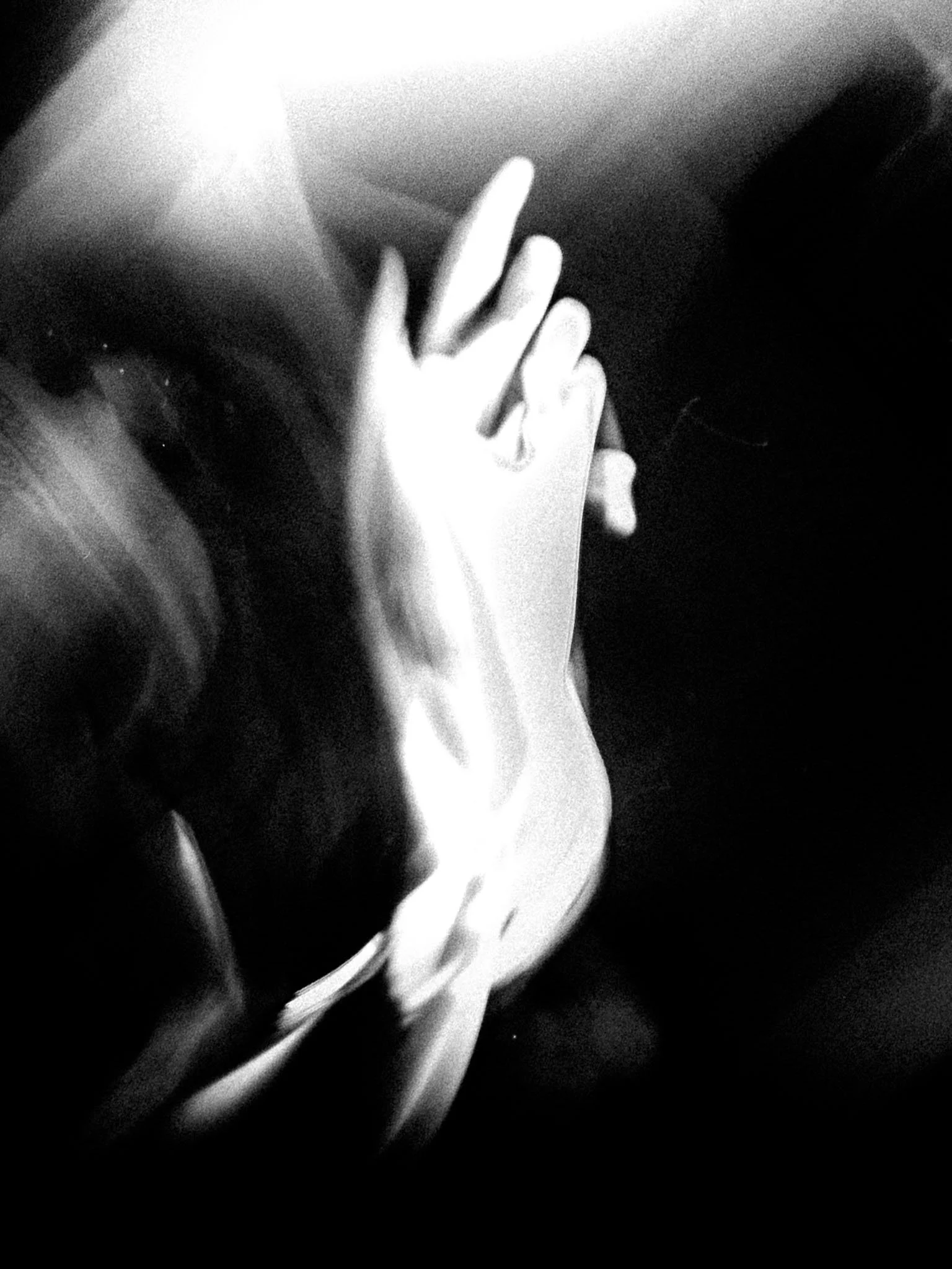 DSCF0416.jpg