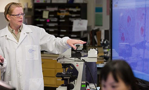Karen Frank, MD, PhD (above), is Chief of the Microbiology Service Department at the National Institutes of Health and past-president of the Academy of Clinical Laboratory Physicians and Scientists. She suggests hospitals begin tracking the spread of the bacteria. “In the big picture, the concern is the spread of these resistant organisms worldwide, and some regions of the world are not tracking the spread of the hospital isolates.” (Photo copyright: National Institutes of Health.)