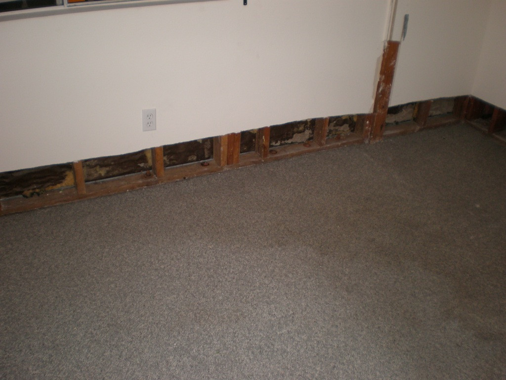 Pictures-2014.jpg