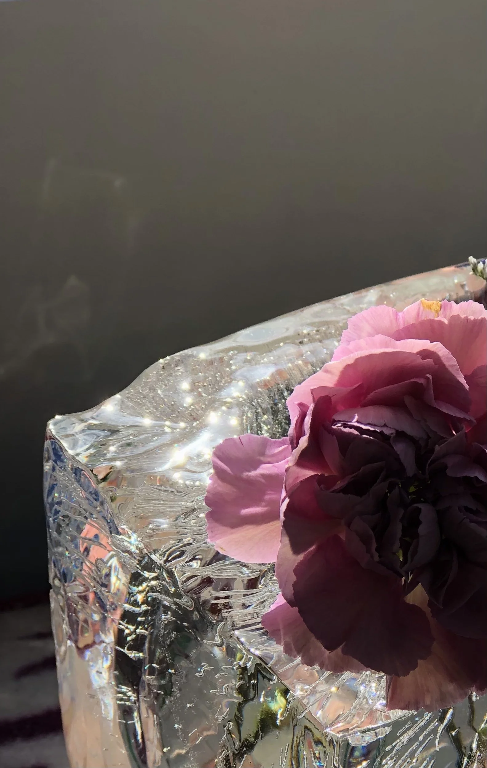 Flash Arrangement sparkle.jpg