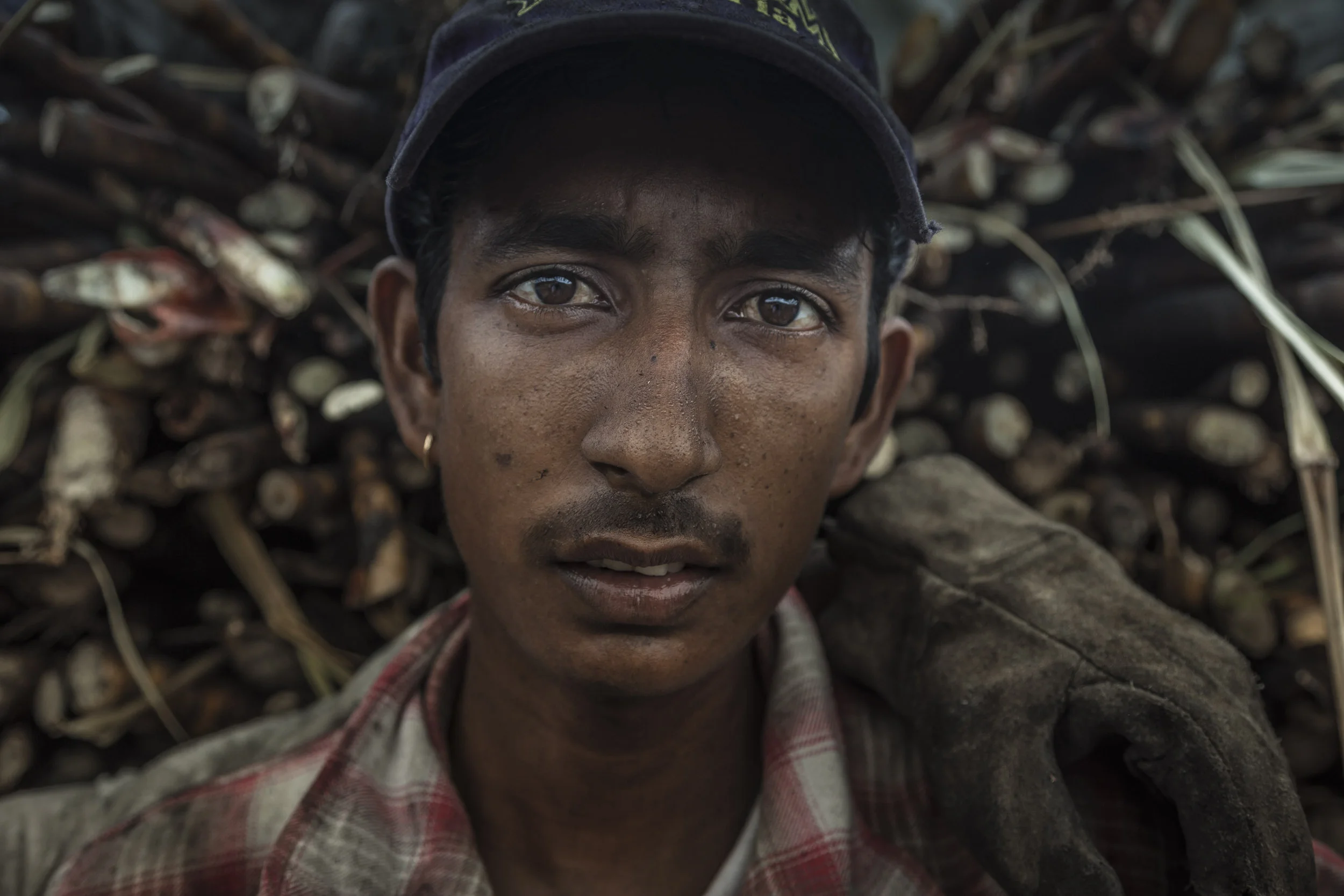 _MG_3195_FIJI_CANE.jpg