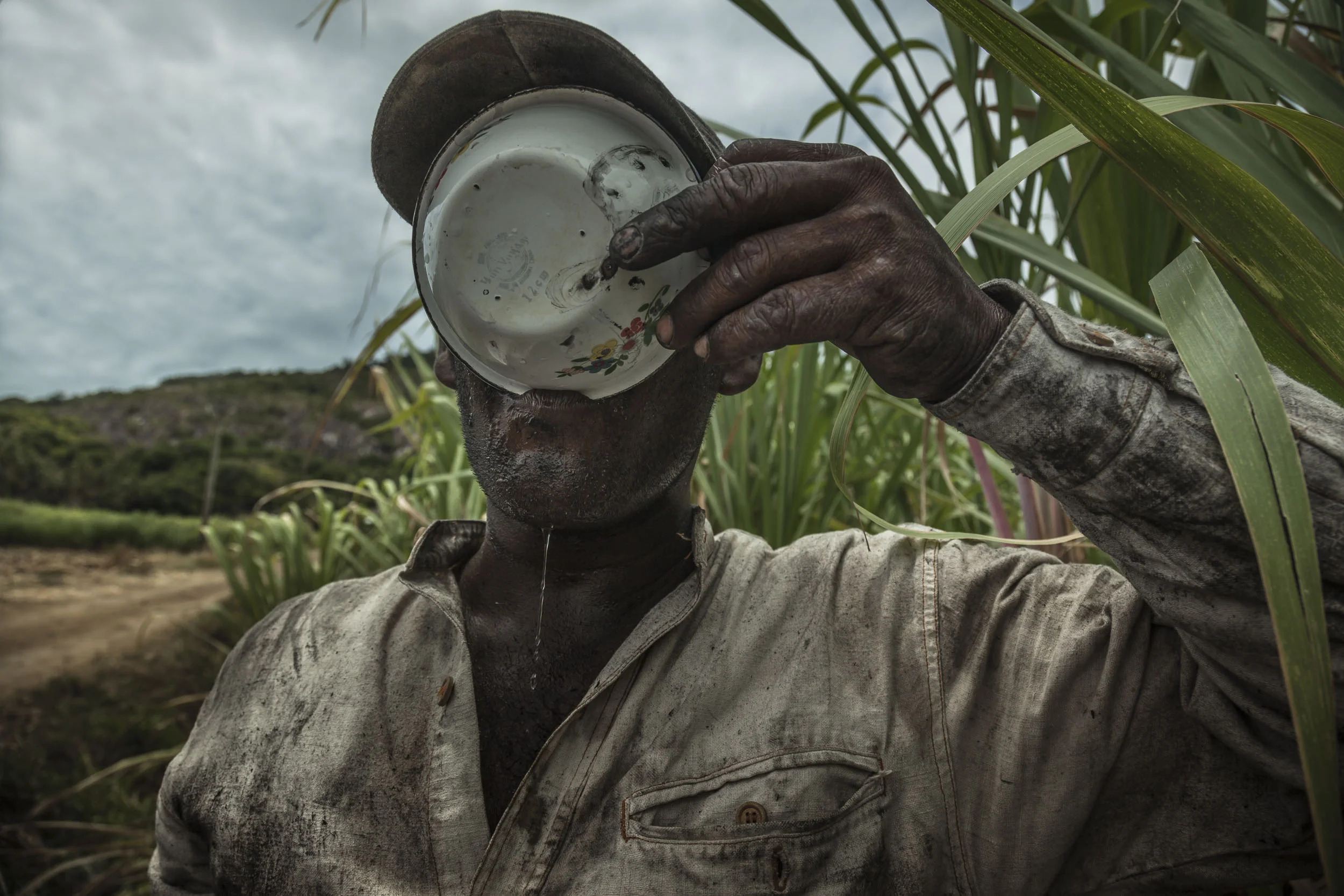 _MG_3372_FIJI_CANE_09-working(2019).jpg