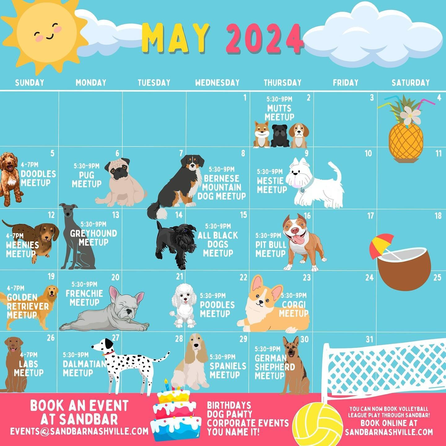 We wanted to go ahead and RE-release our May Dog Meet Up Calendar! We added some new requested breeds so make sure and check them out!! 🤗 April meetups have been a great success so we are even more excited about May 🥳🥳 Thank you to all the dog mom
