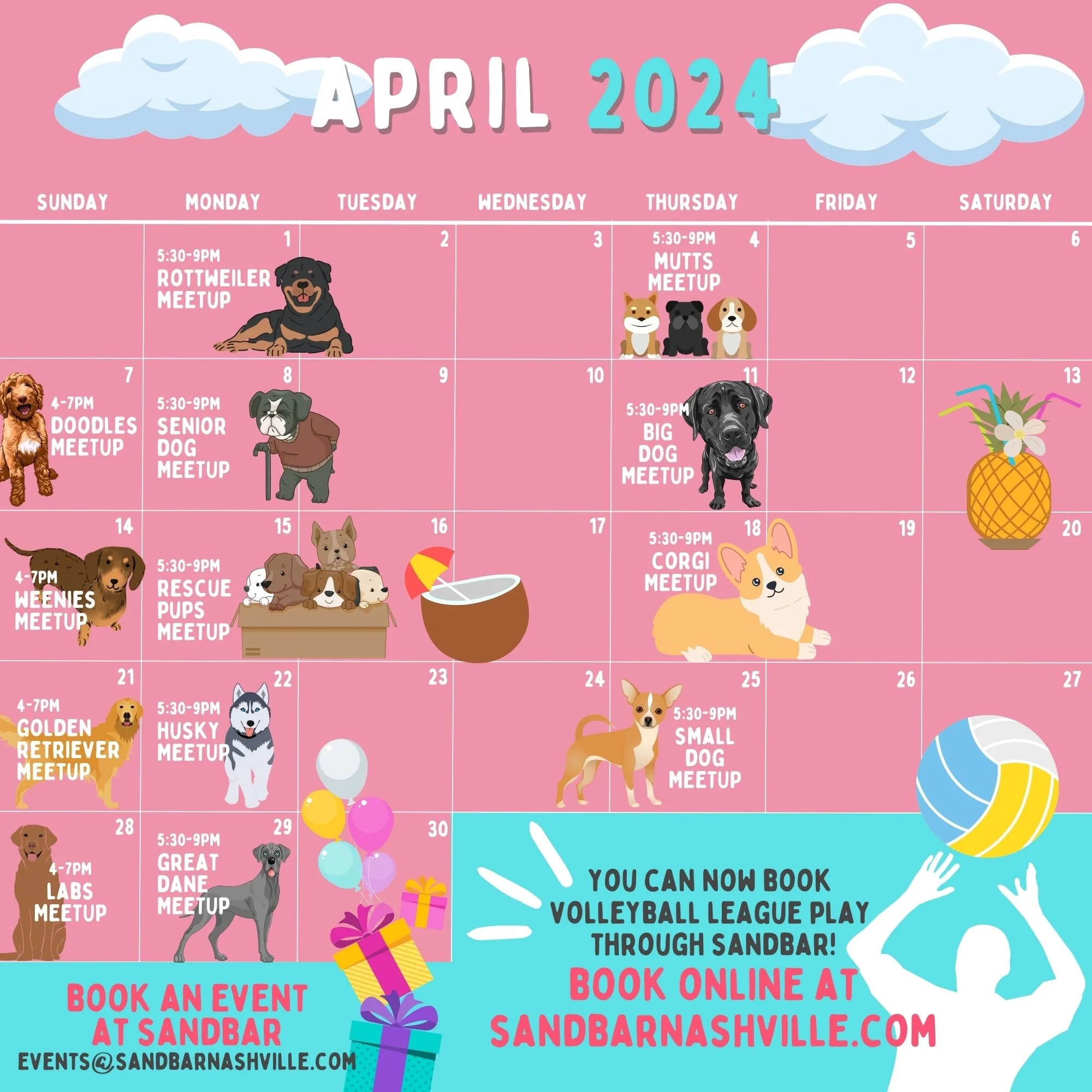 dog-meet-ups-2024-sandbar-nashville