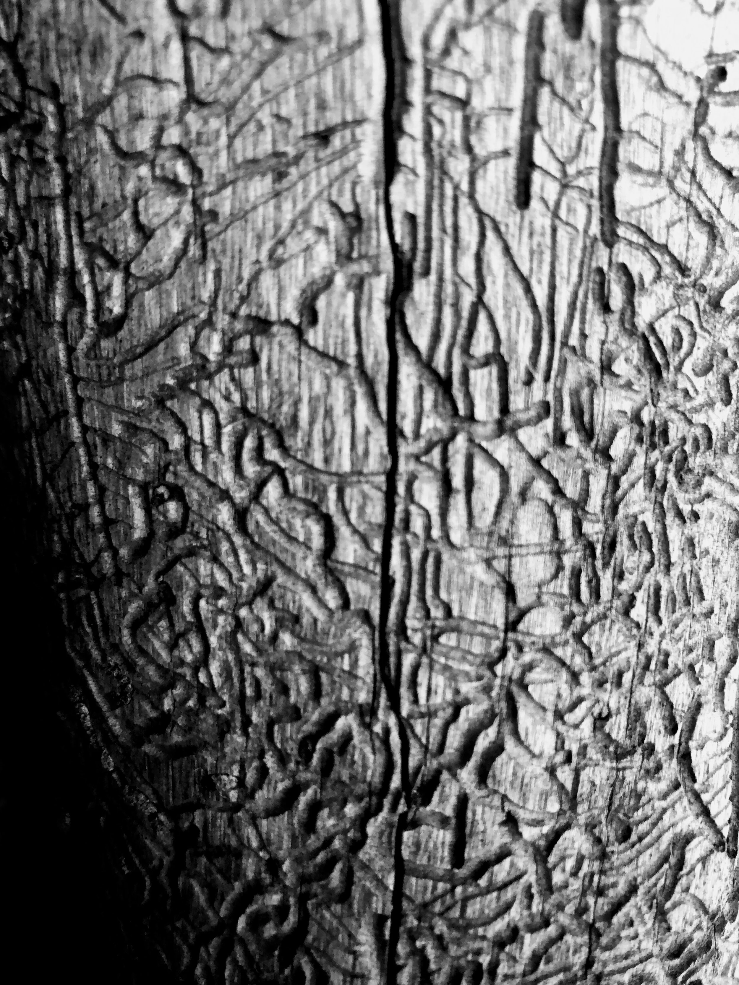 Recognize Your Conditioning 