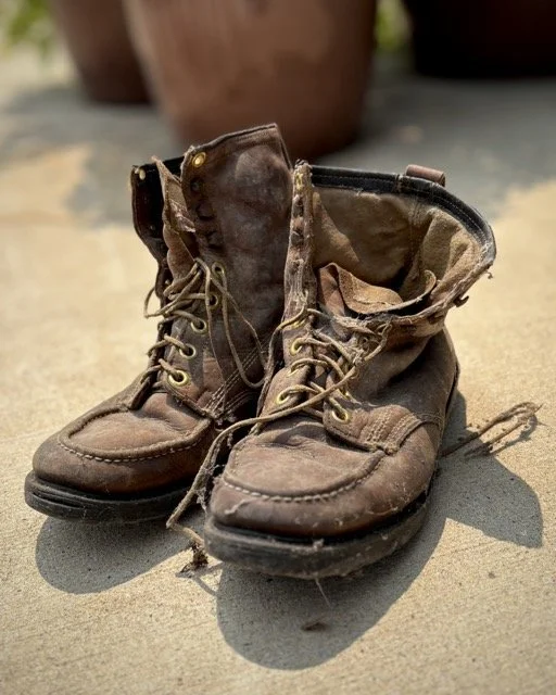 IMG_1311 Medium.jpeg