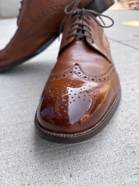 IMG_1378 Medium.jpeg