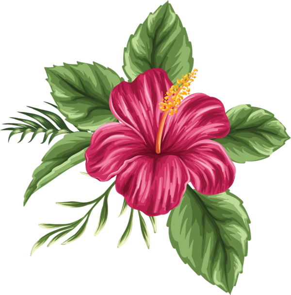 b87ed82432f472509d801208e985474a.png