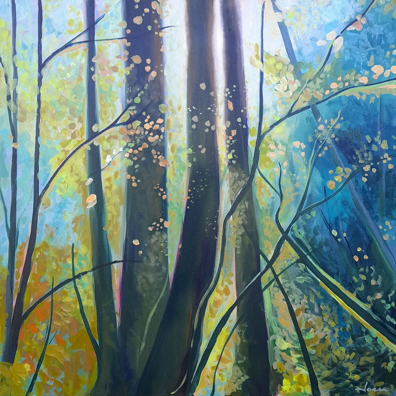 Quiet-Forest.jpg