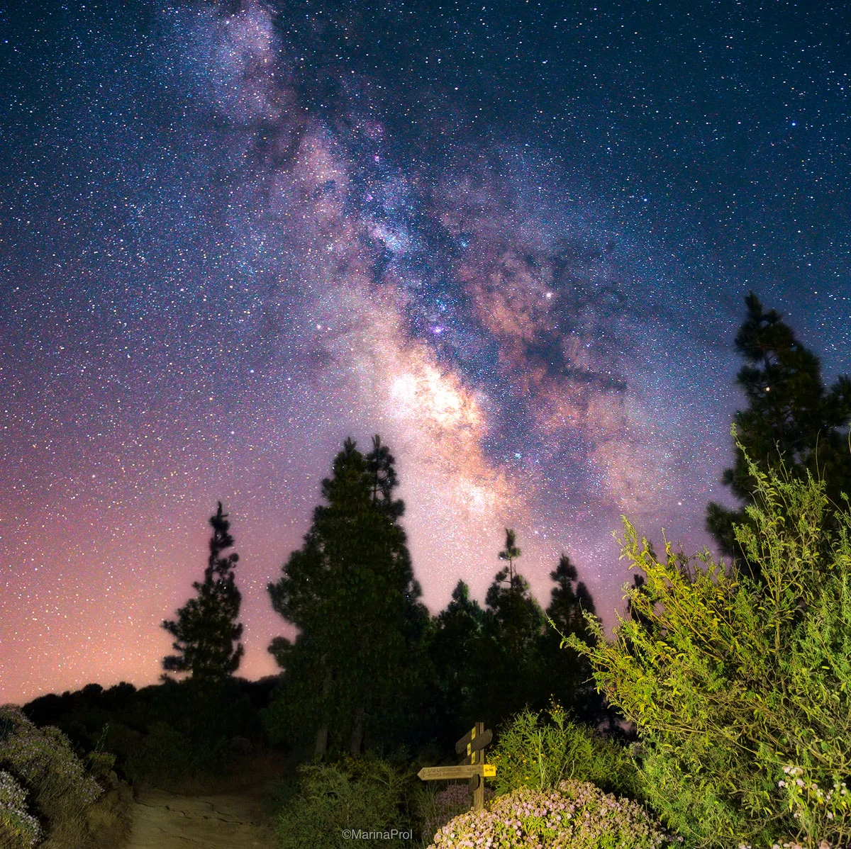 Camino a las estrellas / Trail to the stars