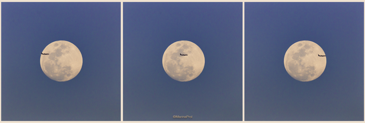 Avión / Plane