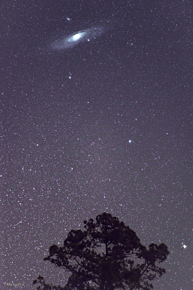 Andrómeda aka M31