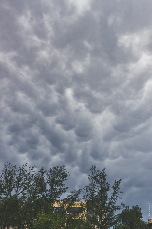 mammatus.png