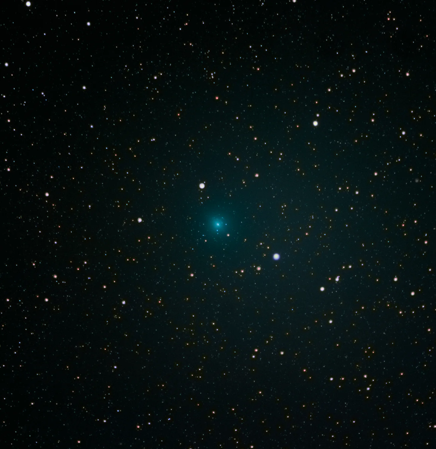46p Wirtanen (4 Dec. )
