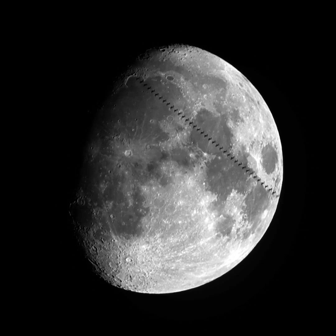 EEI - LUNA Monocroma