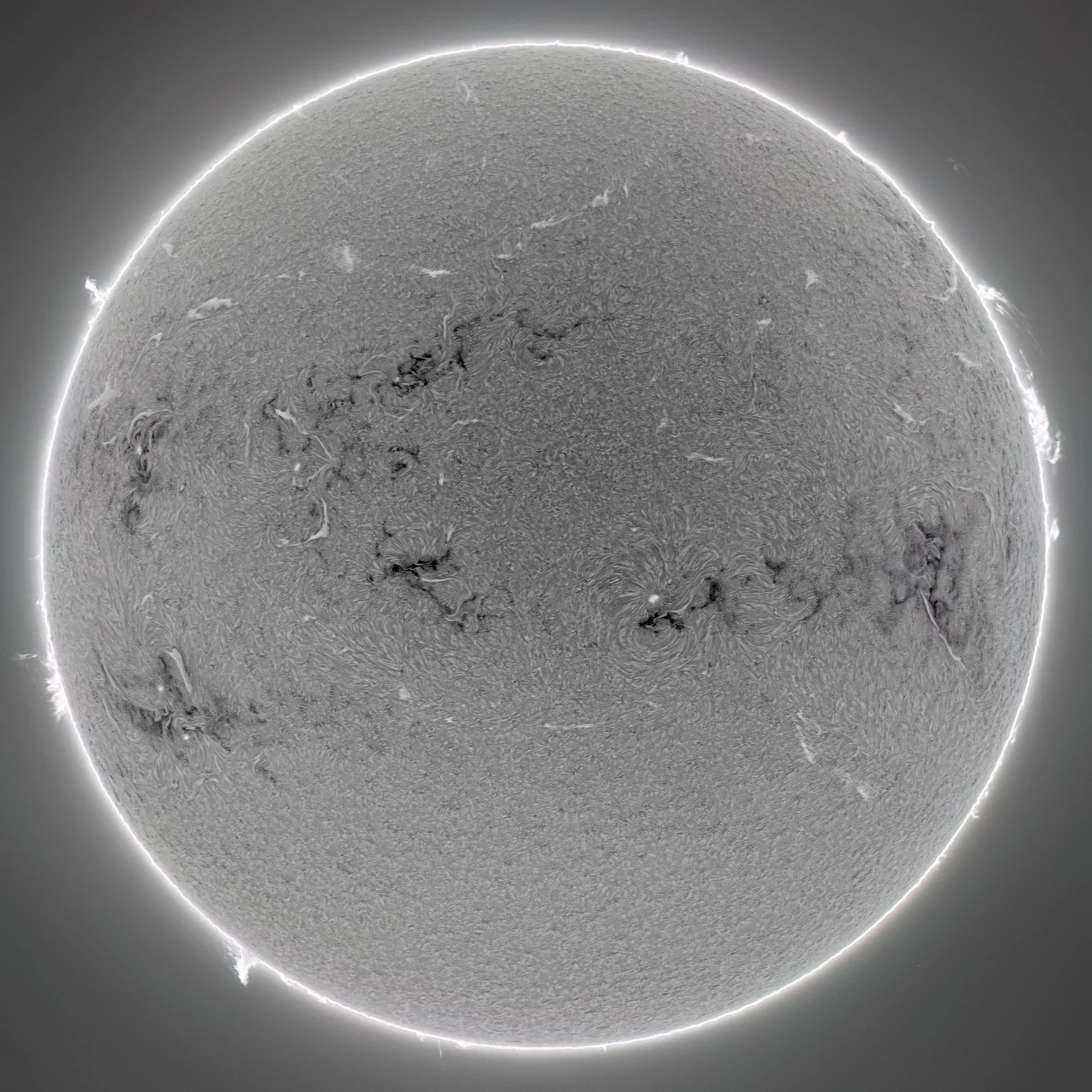 SOL 24 de enero 2026