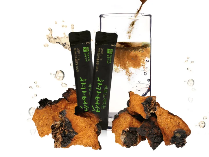 chaga_img1-4.jpg