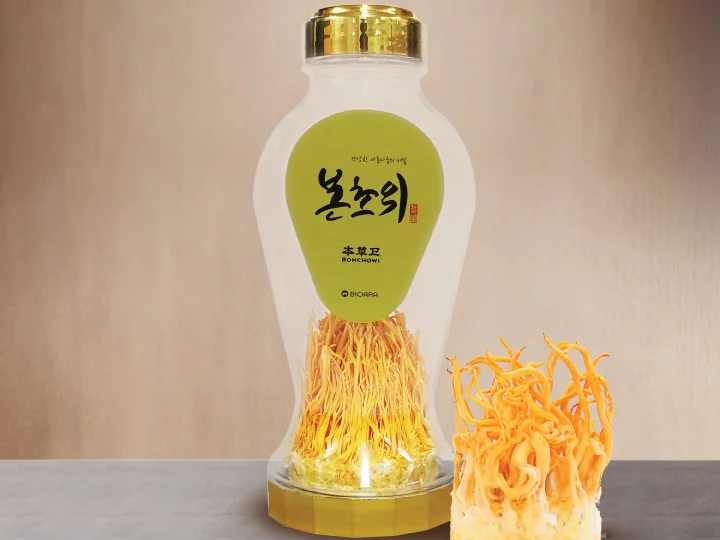 bonchoi_gold_img1-4.jpg