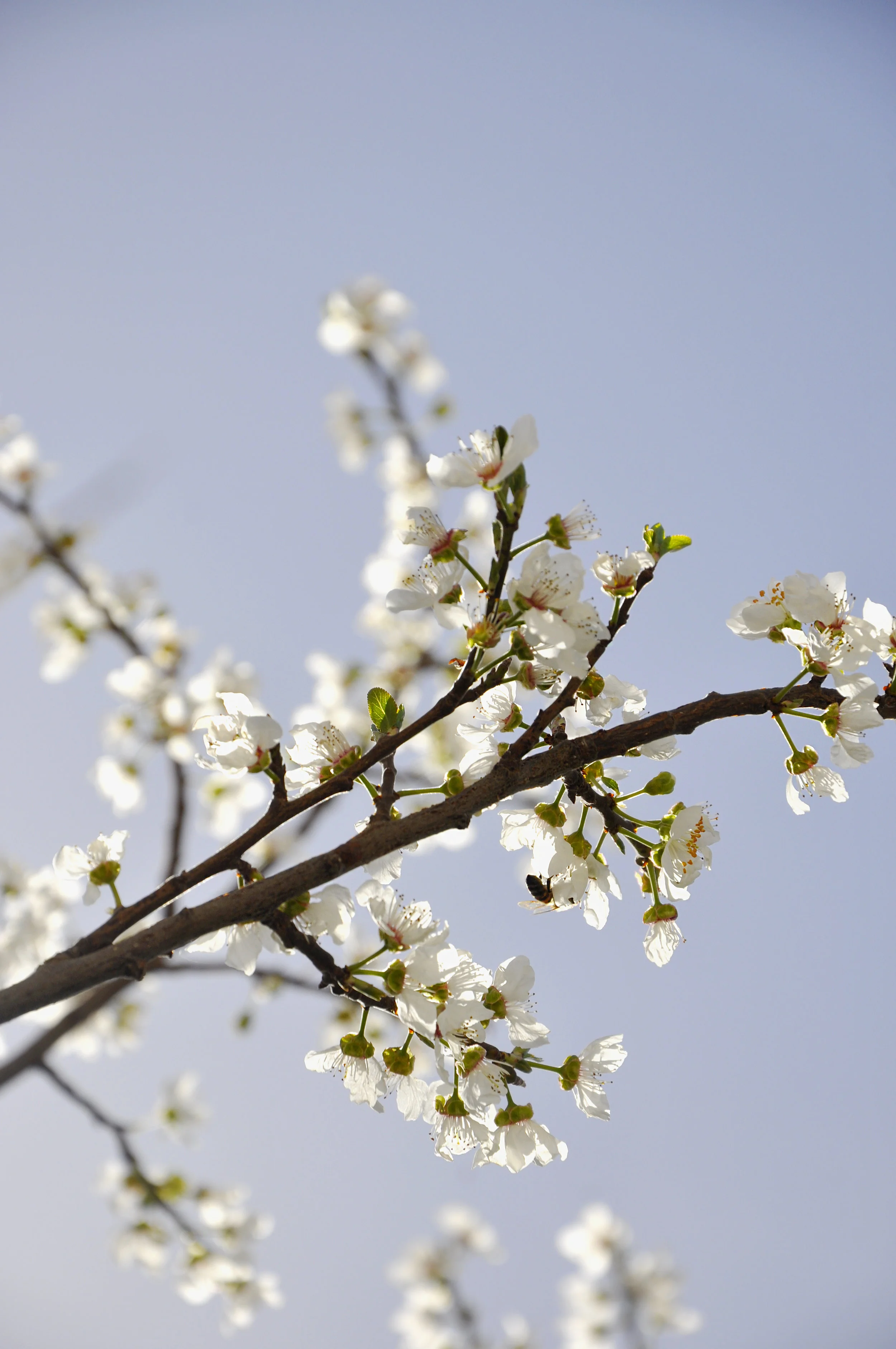 Spring Renewal with March Specials!