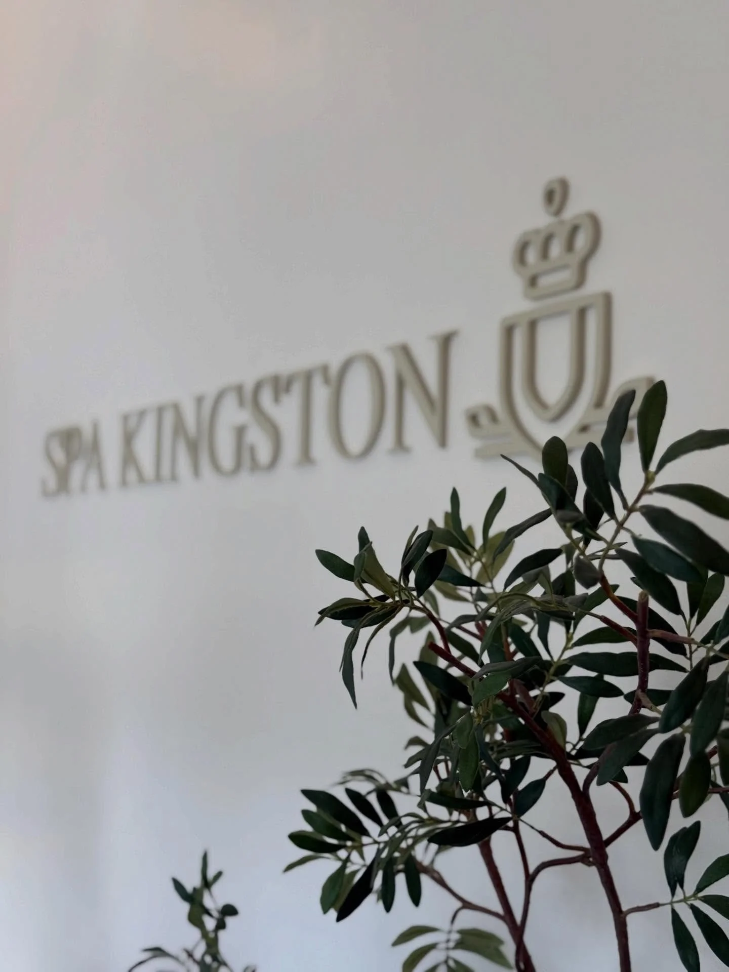 Something special is arriving on March 19th&hellip; perhaps another SK Social! 

Mark your calendars and stay tuned for more info coming soon 🤍

#spasandiego #facialsandiego #spakingston