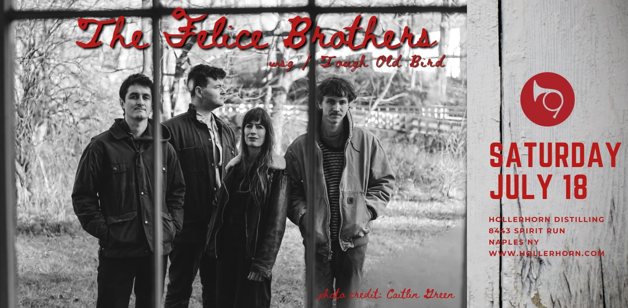 The Felice Brothers  wsg / Tough Old Bird