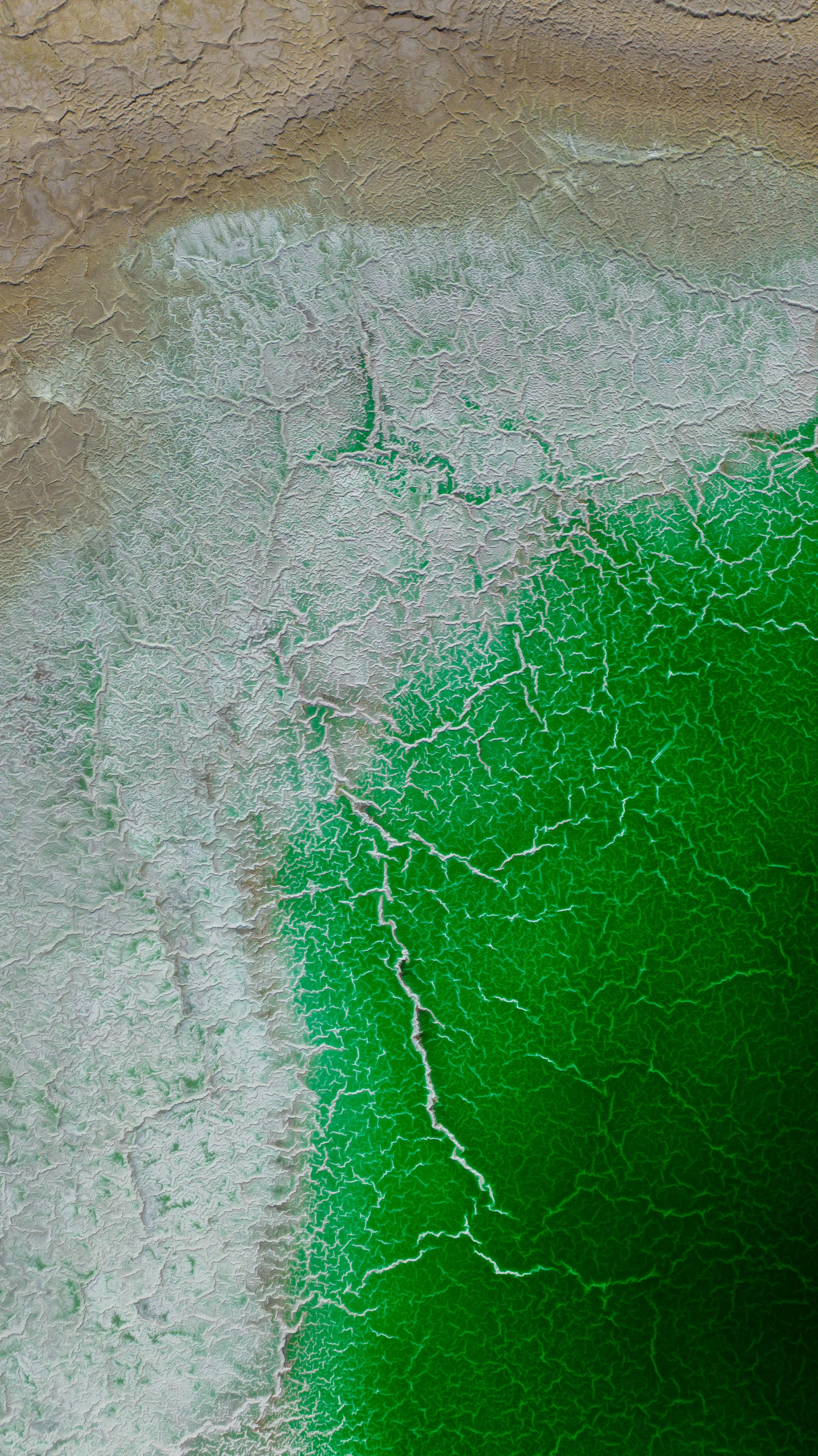 PS-TERRAIN-005