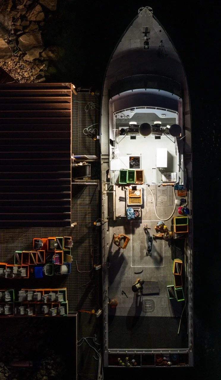 PS-CARGO-001
