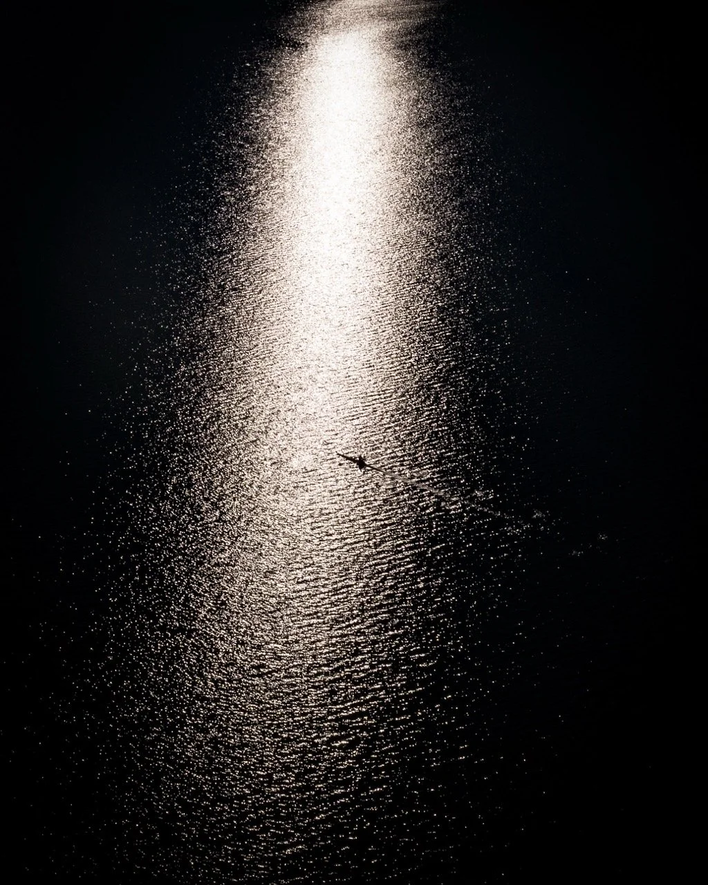 PS-NATURE-002