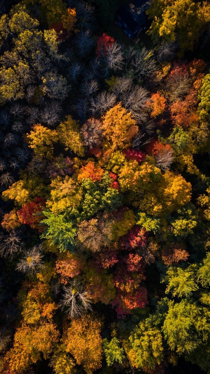 PS-NATURE-001