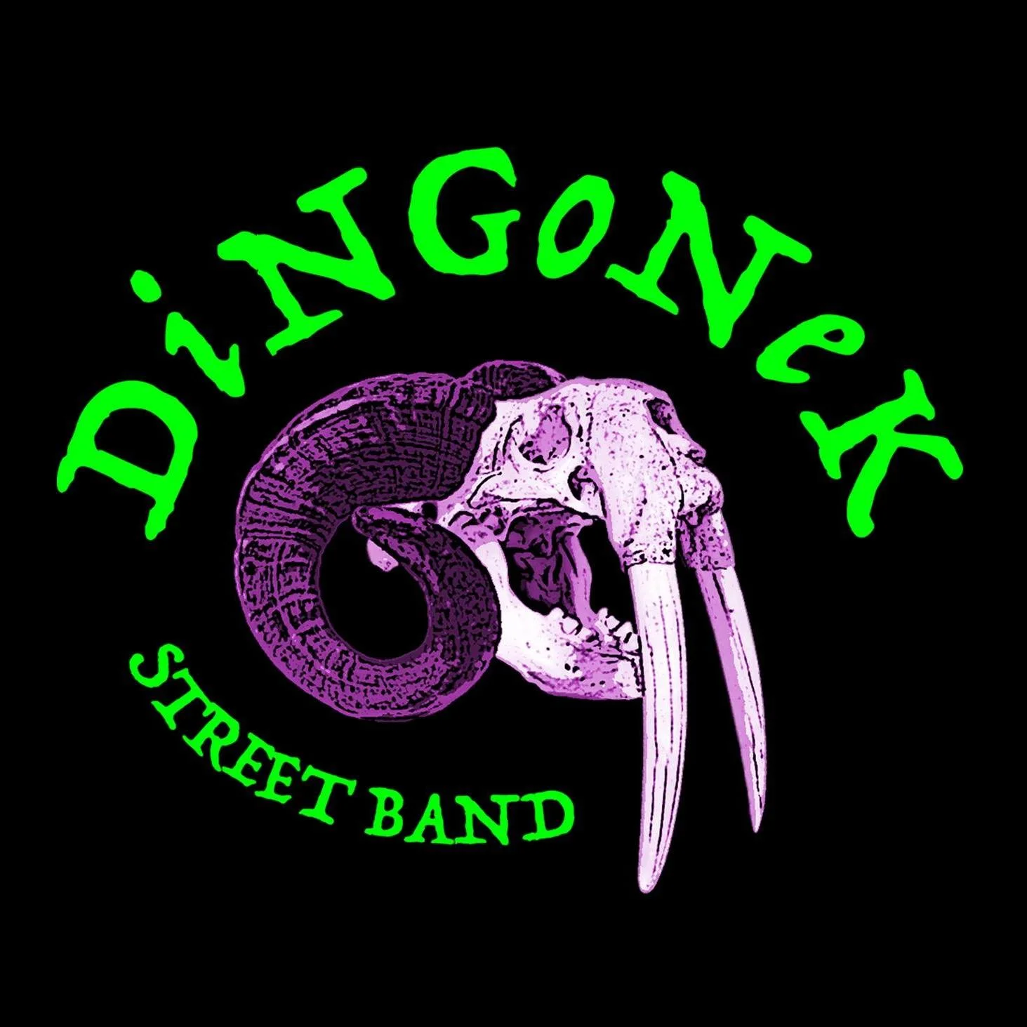 Dingonek Street Band at Pine Box Rock Shop with Dapper Brass and Funkrust 