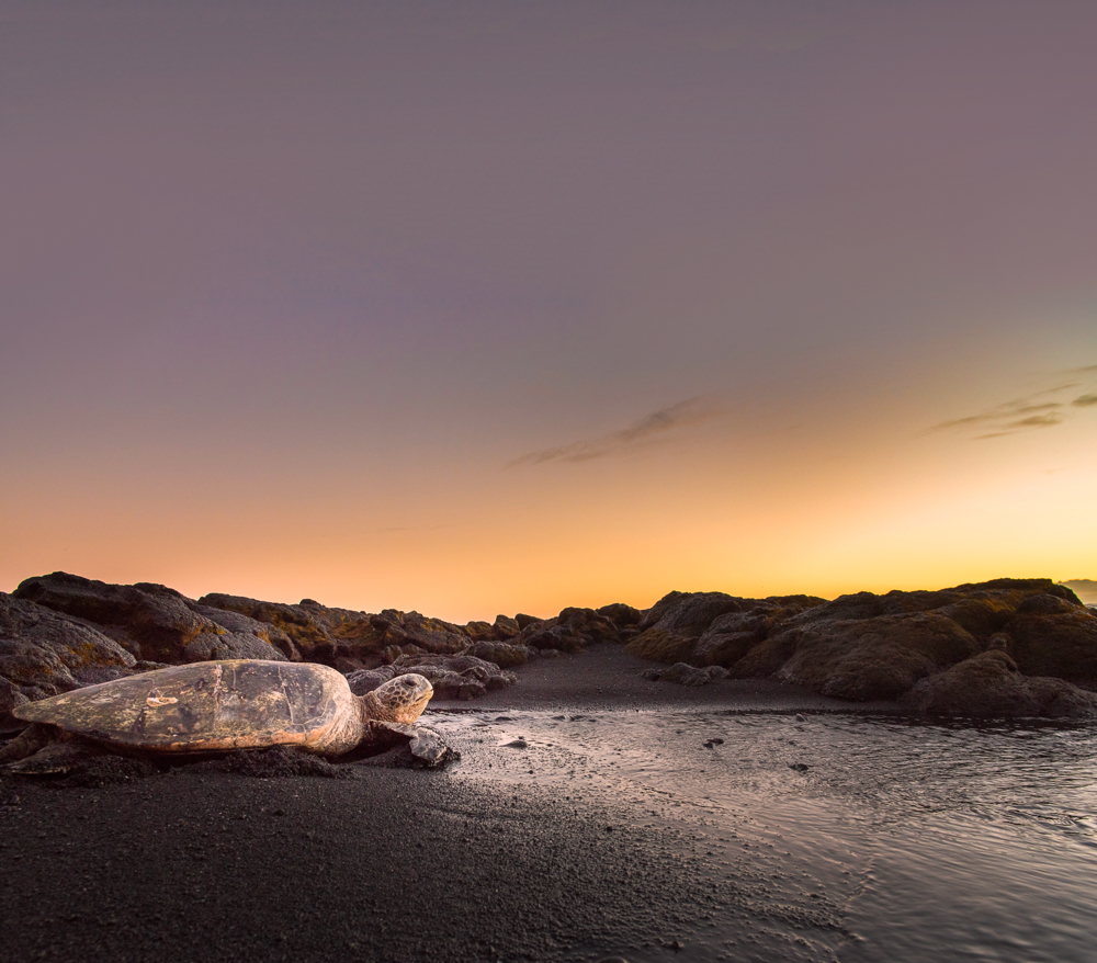 Journey onwards, @ Black Sands Beach