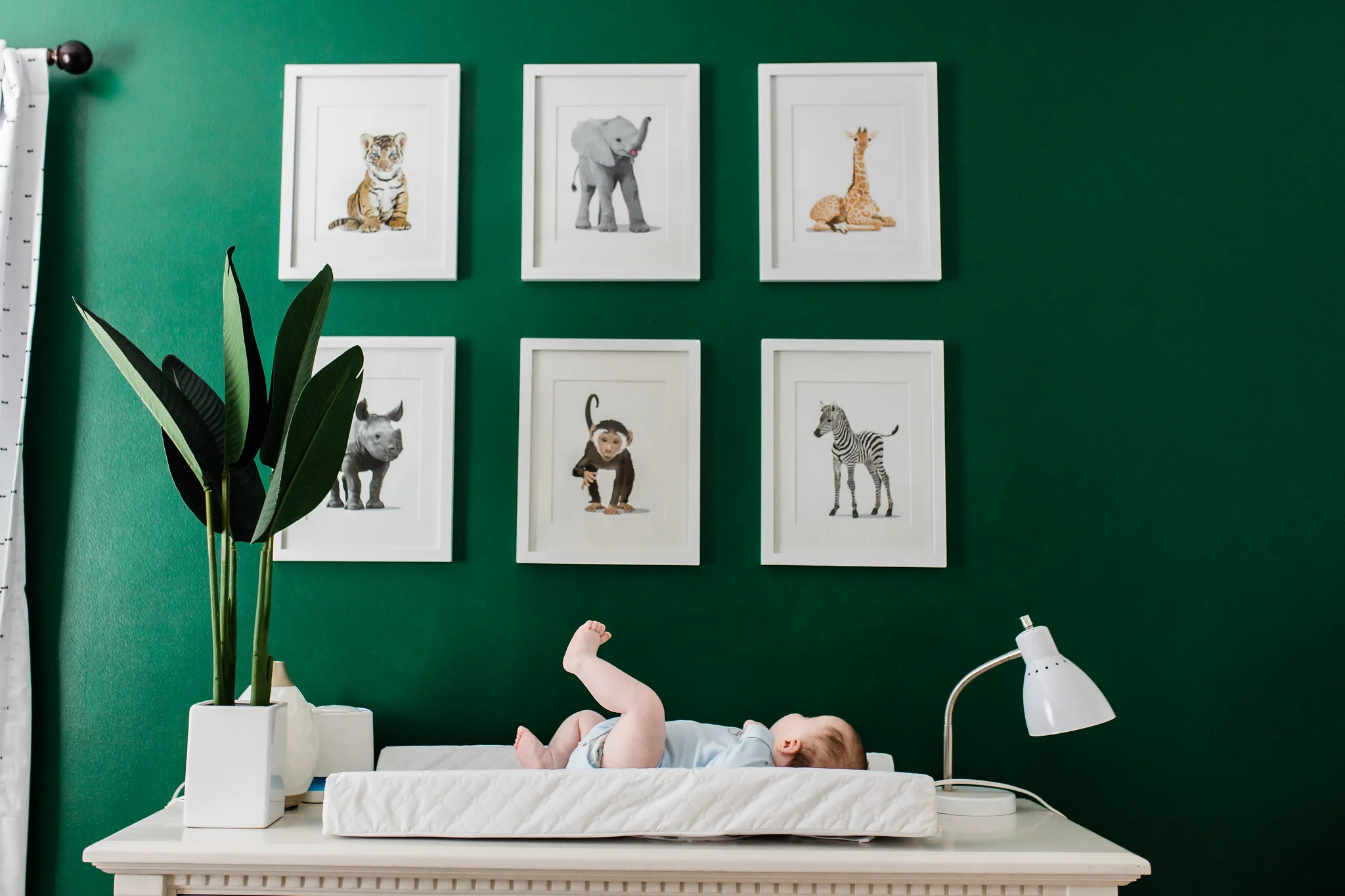 green accent wall nursery