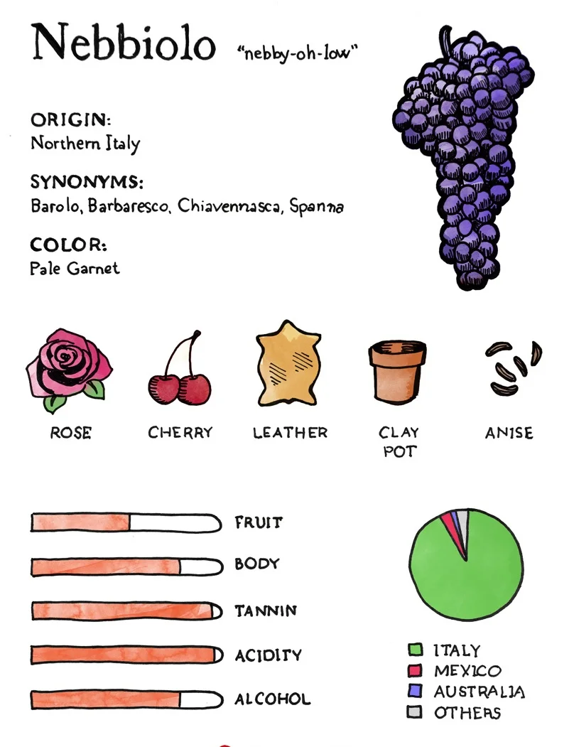 Nebbiolo Class