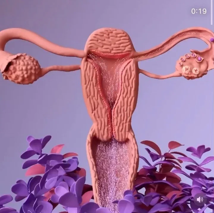 Video by @design_cells 

I remember being in middle school health class, watching a video about the &ldquo;journey to life&rdquo;.

The narrator spent the majority of the time telling the story of the valiant sp.erm:

how hard they had to work, how f