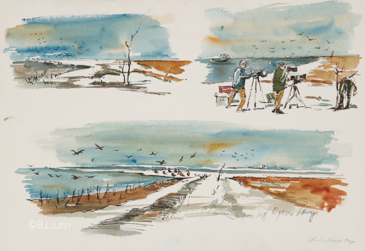Multiple scenes on a single sheet were common. Whenever he was on vacation, he came home with dozens of sheets, each with several pictures.