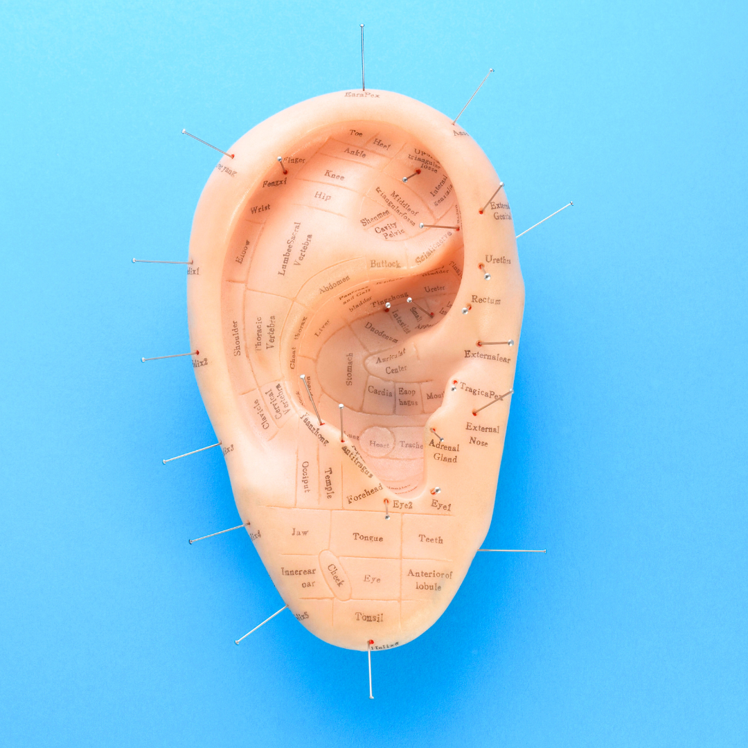 The Ancient Art of Auricular Acupuncture