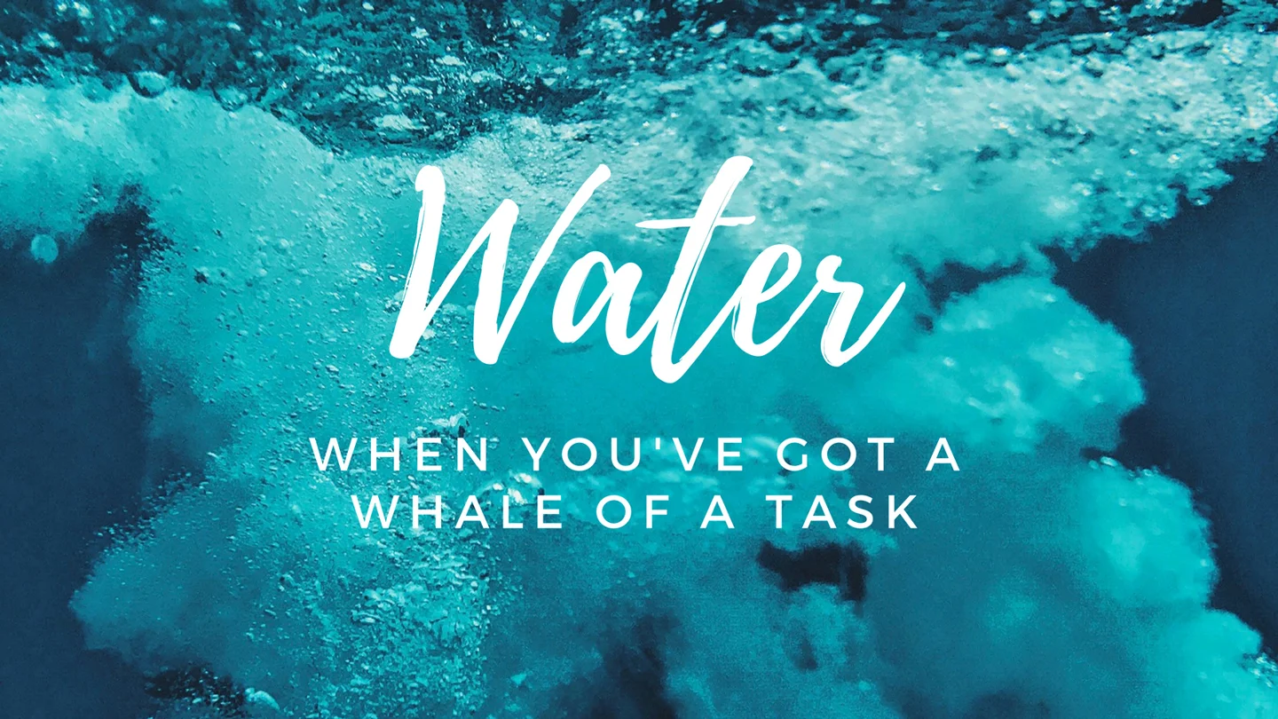 Water - When There's a Whale of a Task episode artwork