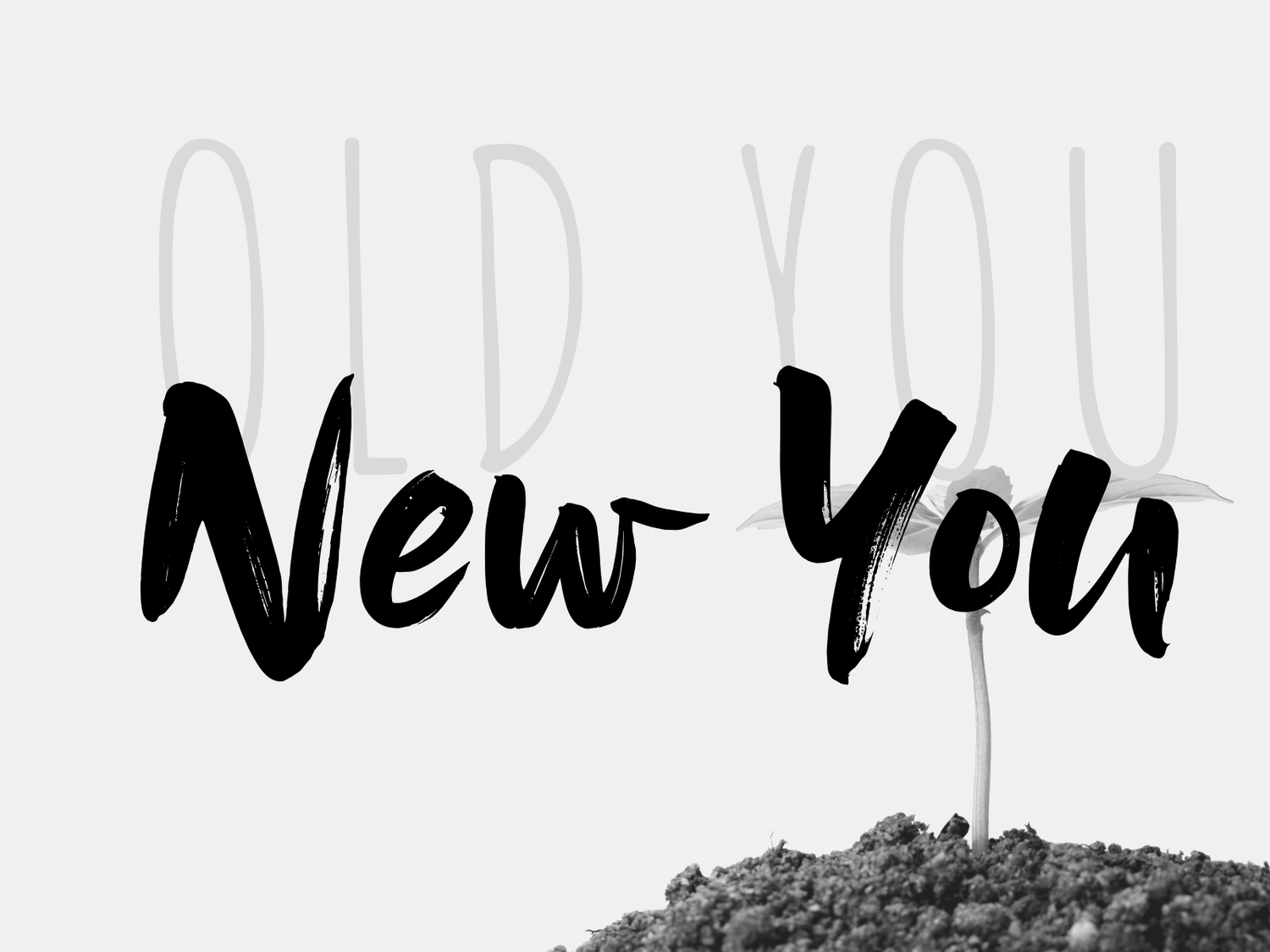 Old You vs. New You episode artwork