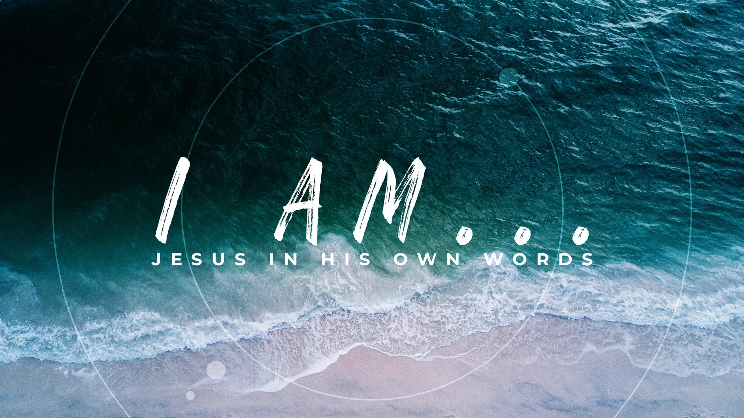 I AM... Jesus in His own Words - The True Vine episode artwork