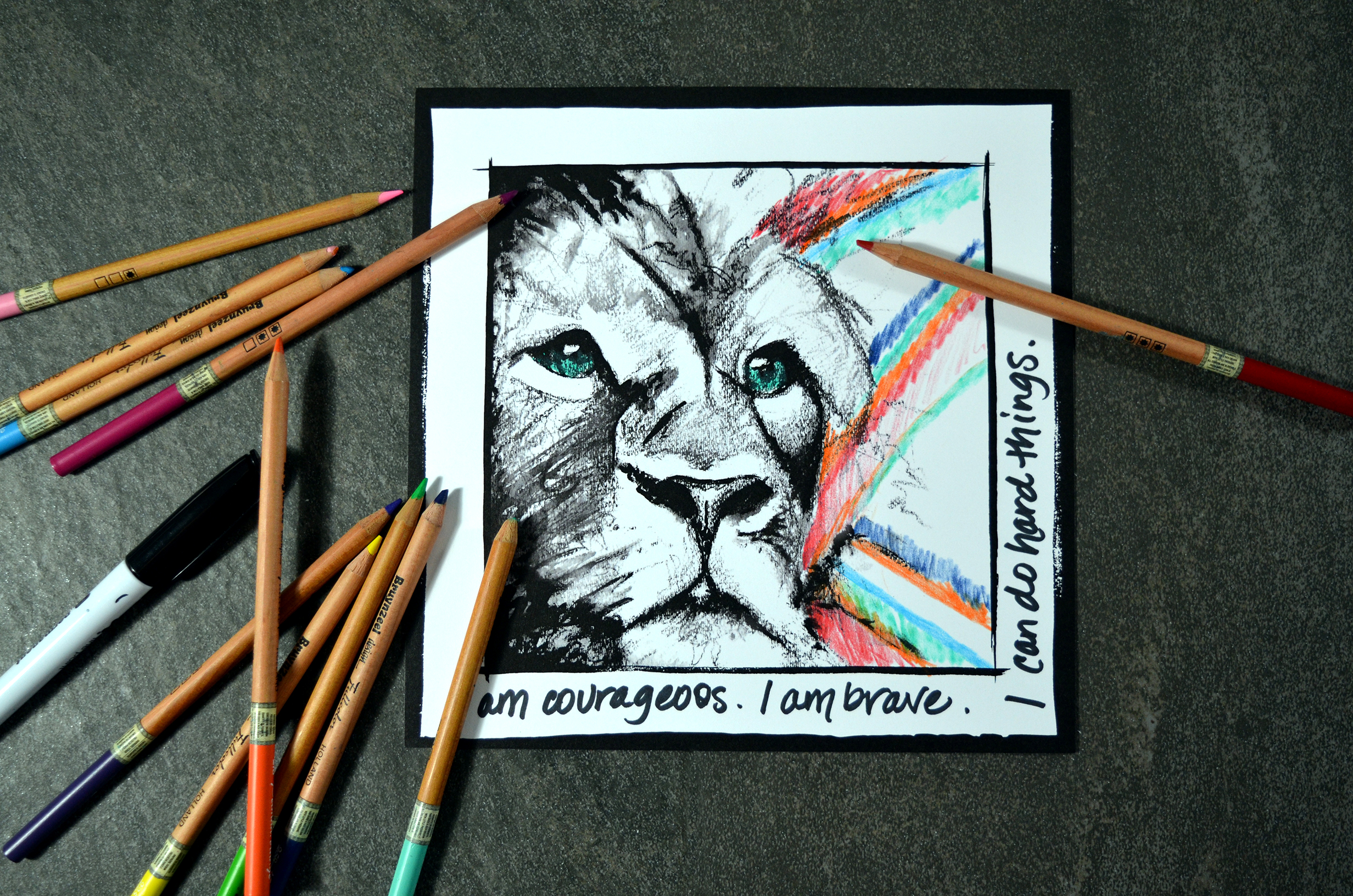 AAP-Coloring-Lion-b.jpg