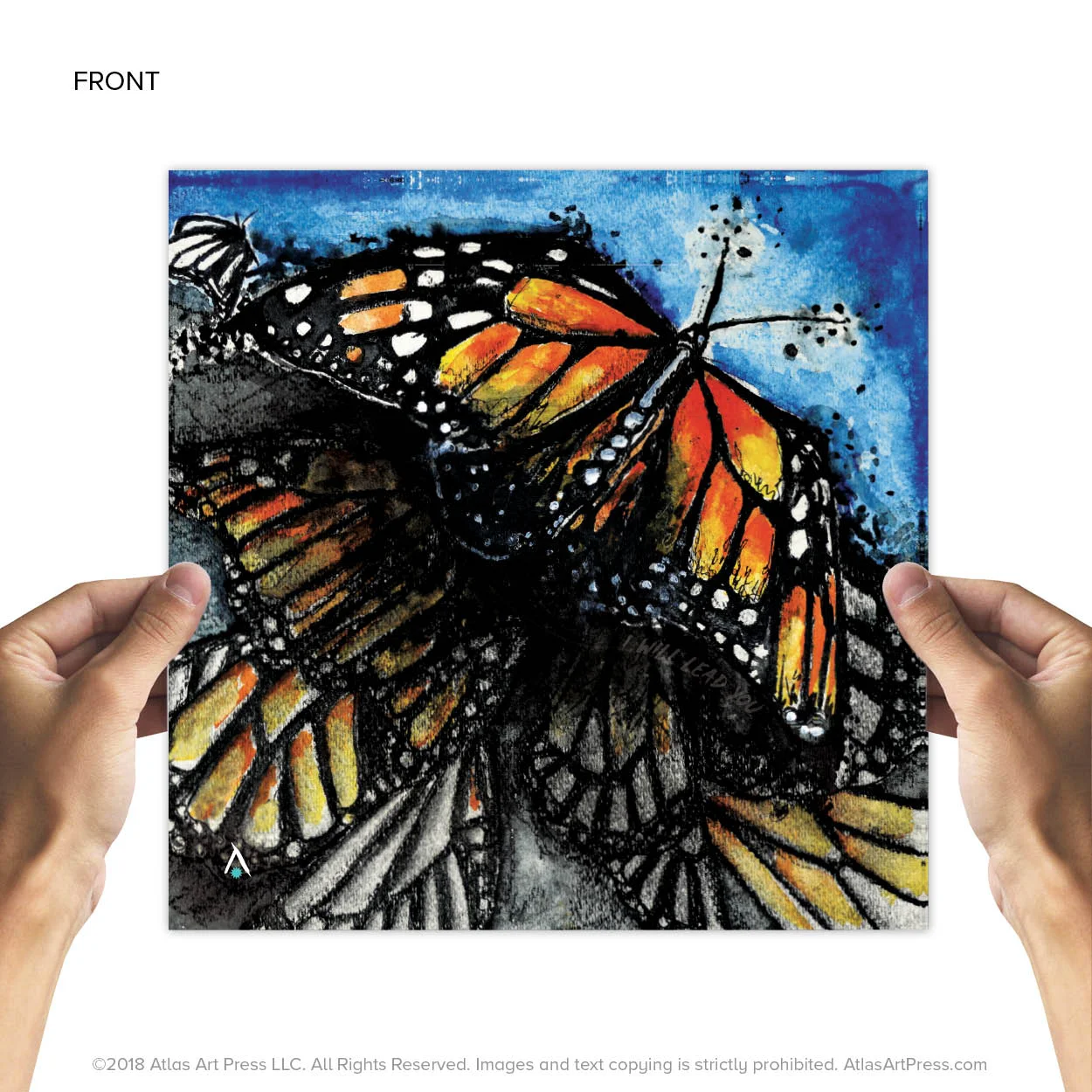 AAP-Butterfly3.jpg