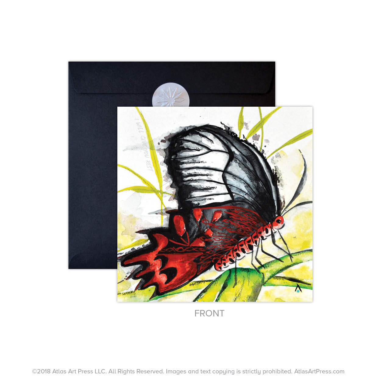 AAP-Butterfly5.jpg