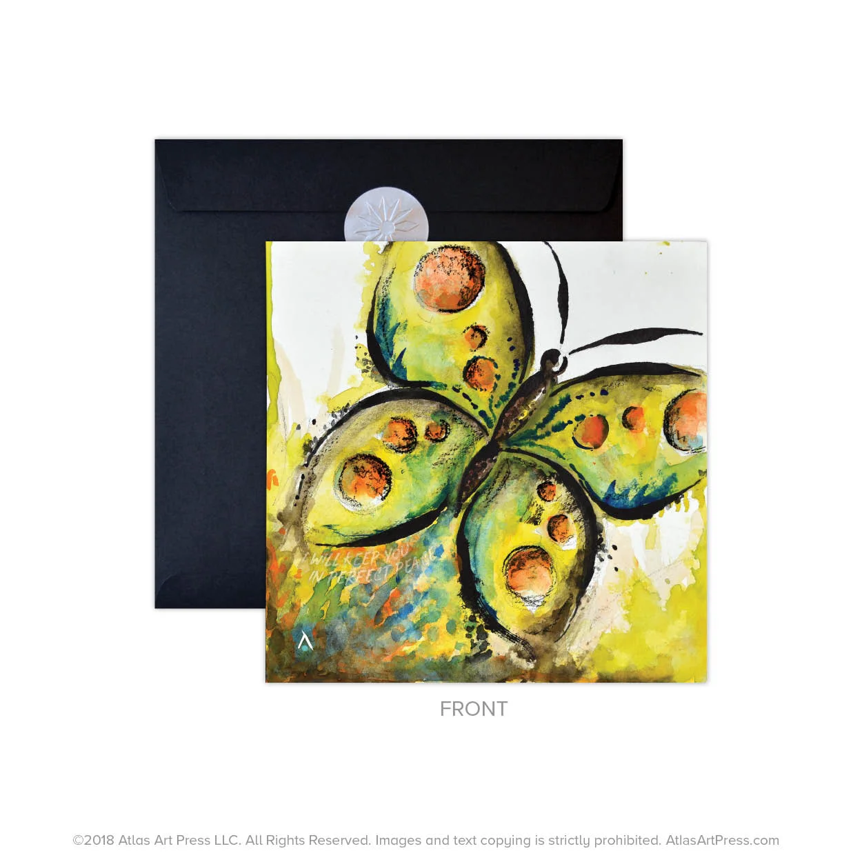 AAP-Butterfly21.jpg